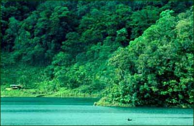 Mountainous slopes were all draped in forest when people first arrived in the Philippines from the Asian mainland. Canoes were the primary means of transportation for hundreds and perhaps thousands of years. (c) Field Museum of Natural History - CC BY-NC 4.0